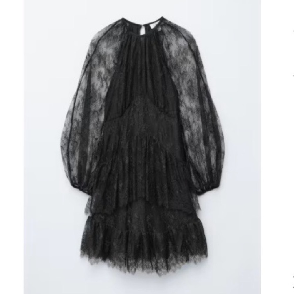 & Other Stories Black Sheer Lace Long-Sleeve Midi Dress